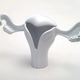 Illustration for article titled Maam, That Uterus Will Cost You Extra